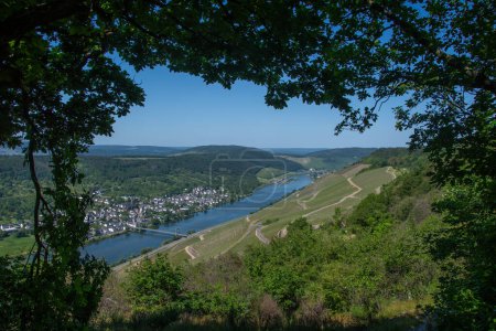 La vista desde arriba de "Wehlen", un distrito de Bernkastel-Kues