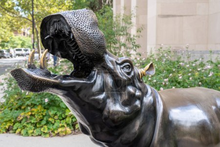 Foto de Washington, DC - 8 de septiembre de 2022: Cerca de la cabeza de la escultura de bronce de la Universidad George Washington de un caballo de río, o hipopótamo, que a menudo se da un masaje para la suerte por los estudiantes. - Imagen libre de derechos