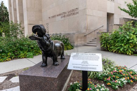 Foto de Washington, DC - 8 de septiembre de 2022: George Washington University escultura de bronce de un caballo de río, o hipopótamo, que a menudo se da un masaje para la suerte por los estudiantes. - Imagen libre de derechos