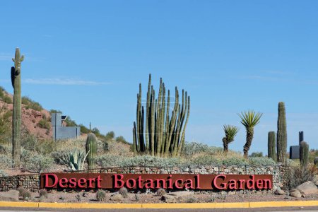 Téléchargez les photos : Phoenix, Arizona - Nov. 18, 2022: Sign for the Desert Botanical Garden, a 140-acre garden located in Papago Park. - en image libre de droit