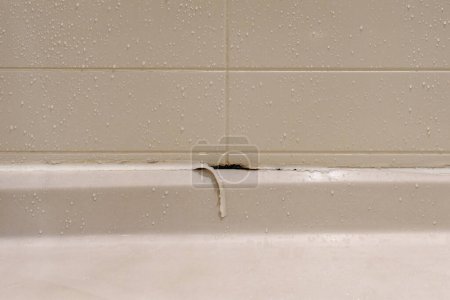 Téléchargez les photos : Cabine de douche blanche avec calfeutrage pelant et moisissure poussant en dessous dans une salle de bain pour concept malsain - en image libre de droit
