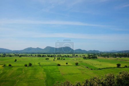 Landscape valley of mountain and greenery paddy rice field in Thailand