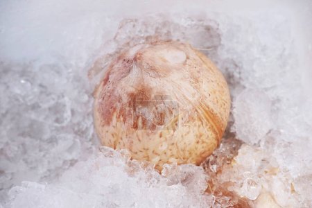 Téléchargez les photos : Noix de coco tropicales préférées trempées dans la glace pour une boisson rafraîchissante en été en Thaïlande - en image libre de droit