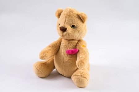 Brown cute teddy bear on a white background.