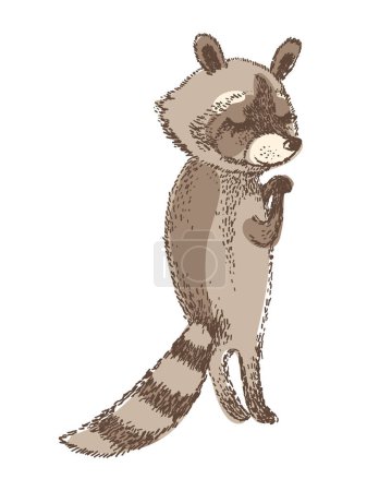 Ilustración de Vector illustration of cute raccoon. Isolated element for design. - Imagen libre de derechos