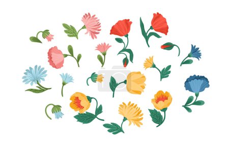 Ilustración de Set of floral design isolated elements. Flowers, buds, stems, leaves. Vector illustrations - Imagen libre de derechos