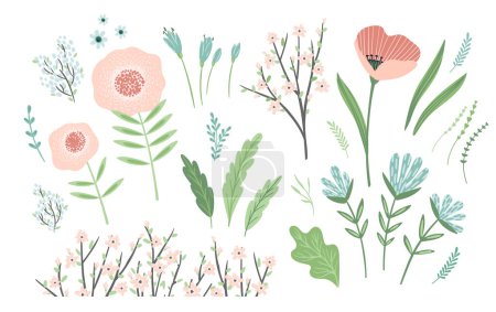 Illustration for Set of spring floral design elements. Leaves, flowers, grass, branches Vector illustrations - Royalty Free Image