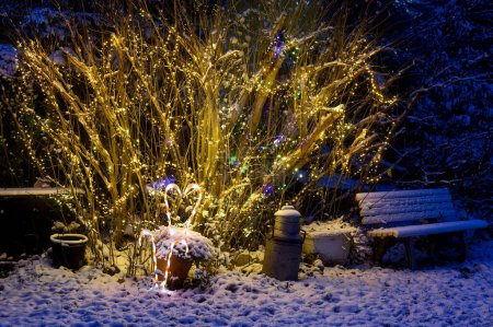 Téléchargez les photos : Décorations de Noël lumineuses dans un jardin avec de la neige la nuit. - en image libre de droit