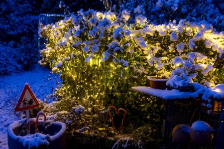 Téléchargez les photos : Décorations de Noël lumineuses dans un jardin avec de la neige la nuit. - en image libre de droit