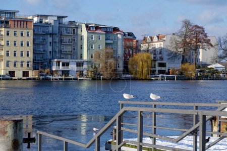Winter scene with two seagulls on a railing at the Dahme river in Berlin Koepenick.