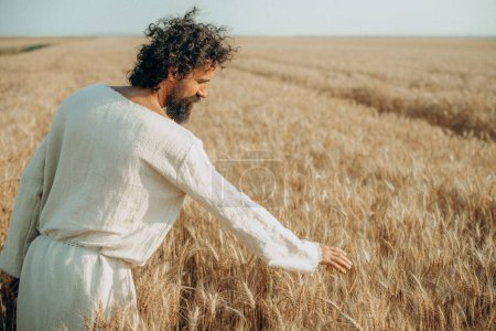 Téléchargez les photos : L'appel des travailleurs : Jésus au milieu du blé - en image libre de droit