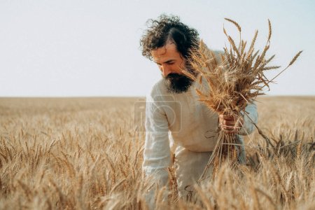 Photo for The Workers' Calling: Jesus Among the Wheat - Royalty Free Image