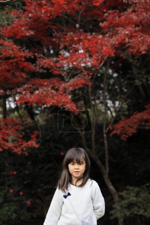 Photo for Autumn leaves and Japanese student girl (8 years old) - Royalty Free Image