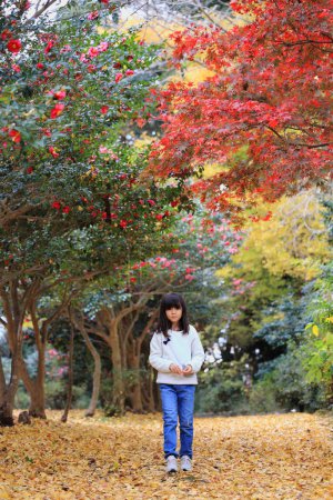 Photo for Japanese student girl walking in autumn leaves forest (8 years old) - Royalty Free Image