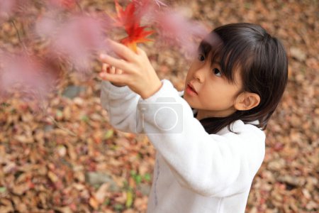 Photo for Autumn leaves and Japanese student girl (8 years old) - Royalty Free Image