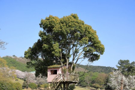 Téléchargez les photos : Cabanes dans les arbres en Inatori Highland, Higashi Izu, Shizuoka, Japon - en image libre de droit