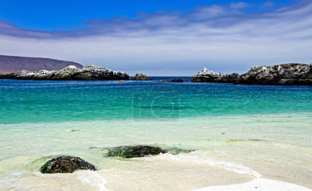 Foto de Hermosa playa de arena tropical blanca, piscina de agua de mar natural turquesa - Bahia Inglesa, Chile, costa del Pacífico, La Piscina - Imagen libre de derechos
