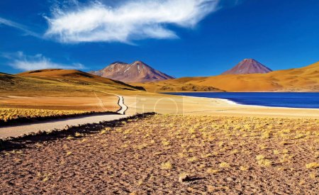 Foto de Hermoso espectacular paisaje árido seco y colorido, lago azul profundo en llanuras altas andes, sendero de senderismo, volcán Miniques Laguna Miscanti, desierto de Atacama, Chile - Imagen libre de derechos