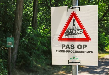 Téléchargez les photos : Limbourg, Pays-Bas - 20 juillet. 2023 : Gros plan du signe d'avertissement en langue néerlandaise pour les papillons processionnaires en chêne dans la forêt - en image libre de droit