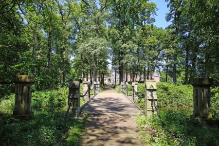 Téléchargez les photos : Belle randonnée pédestre et piste cyclable sur le pont à travers la forêt verte au château médiéval hollandais Kasteel Heeswijk, Brabant-Septentrional, Pays-Bas - en image libre de droit