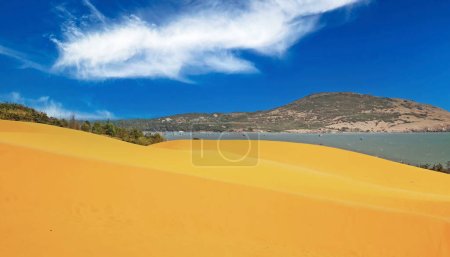 Téléchargez les photos : Beau paysage vietnamien côtier avec des dunes de sable au lagon océanique - Mui Ne, Vietnam - en image libre de droit