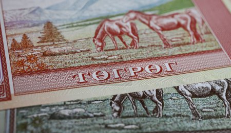 Téléchargez les photos : Gros plan de vieux billets mongoliens en monnaie tugrik avec lettres cyrilliques, paysage et chevaux - en image libre de droit