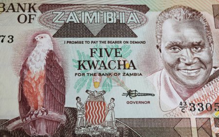 Photo for Zambia 5 Kwacha currency banknote with eagle and former president Kenneth Kaunda (focus on center) - Royalty Free Image