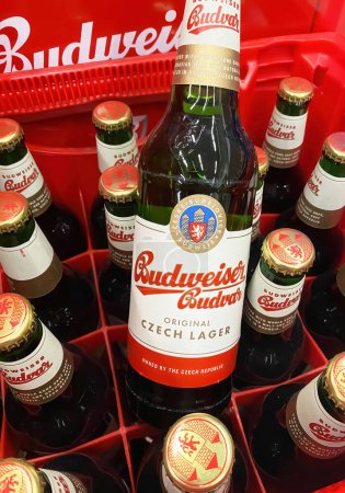 Foto de Viersen, Alemania - 3 de abril. 2024: Primer plano Budweiser Budvar caja de cerveza checa en la tienda alemana (se centran en la botella central en la parte delantera) - Imagen libre de derechos