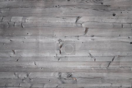 Téléchargez les photos : Background and texture of a gray wooden wall. You can clearly see the grain of the wood and the knotholes. - en image libre de droit