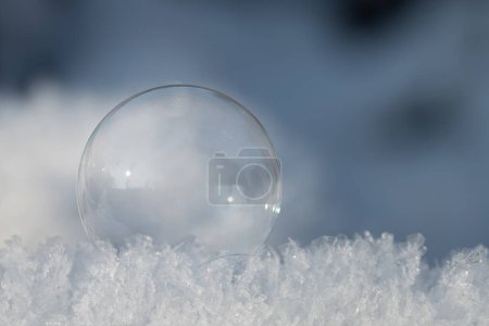 Téléchargez les photos : Une petite bulle de savon transparente repose sur des cristaux de neige frais. Le fond est bleu. Il y a de l'espace pour le texte. - en image libre de droit