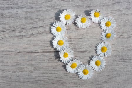 Photo for Close-up of a heart made of small white flowers. The daisies are on the side of a birch wood base. There is space for text. - Royalty Free Image