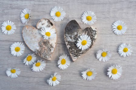 Photo for Two birch bark hearts lie against a light-coloured wooden background. Many daisies are scattered around both hearts. - Royalty Free Image