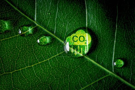 Foto de Icono de reducción de CO2 en hoja verde con gotitas de agua para disminuir el CO2, la huella de carbono y el crédito de carbono para limitar el calentamiento global del cambio climático, concepto de economía verde Bio Circular. - Imagen libre de derechos