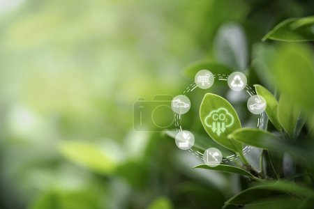 Téléchargez les photos : Réduction du carbone sur la feuille verte pour réduire le CO2, l'empreinte carbone et le crédit carbone pour limiter le réchauffement climatique, concept Bio Circular Green Economy. - en image libre de droit