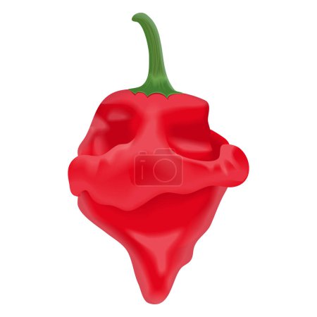 Illustration for Red scotch bonnet peppers. Capsicum chinense. Hot chili pepper. Fresh organic vegetables. Vector illustration isolated on white background. - Royalty Free Image