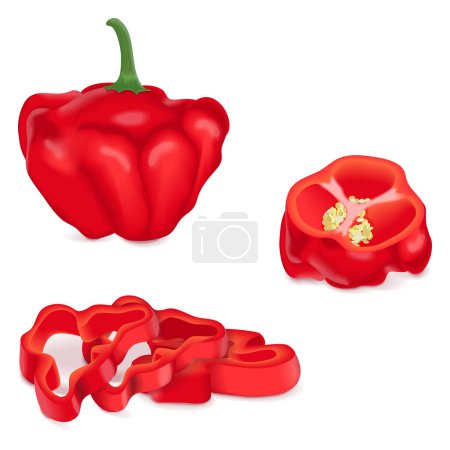 Illustration for Whole, quarter, slices, and wedges of Red scotch bonnet peppers. Capsicum chinense. Hot chili pepper. Fresh organic vegetables. Vector illustration isolated on white background. - Royalty Free Image