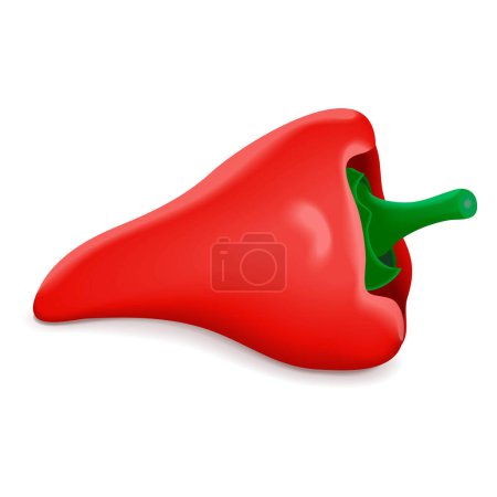 Illustration for Spanish Piquillo peppers. Pimiento pepper. Pimiento del piquillo. Capsicum annuum. Red chili pepper. Fresh organic vegetables. Vector illustration isolated on white background. - Royalty Free Image