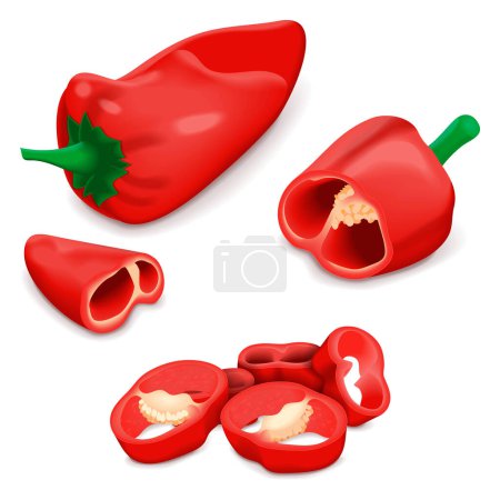 Illustration for Whole, quarter, slices, and wedges of Spanish Piquillo peppers. Pimiento pepper. Capsicum annuum. Red chili pepper. Vegetables. Vector illustration isolated on white background. - Royalty Free Image