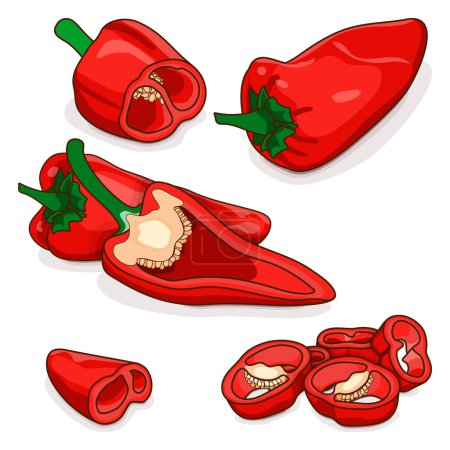 Illustration for Whole, half, quarter, and slices of Spanish Piquillo peppers. Pimiento pepper. Capsicum annuum. Red chili pepper. Vegetables. Cartoon style. Vector illustration isolated on white background. - Royalty Free Image