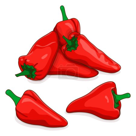 Illustration for Group of Spanish Piquillo peppers. Pimiento pepper. Pimiento del piquillo. Capsicum annuum. Red chili pepper. Fresh organic vegetables. Vector illustration isolated on white background. - Royalty Free Image
