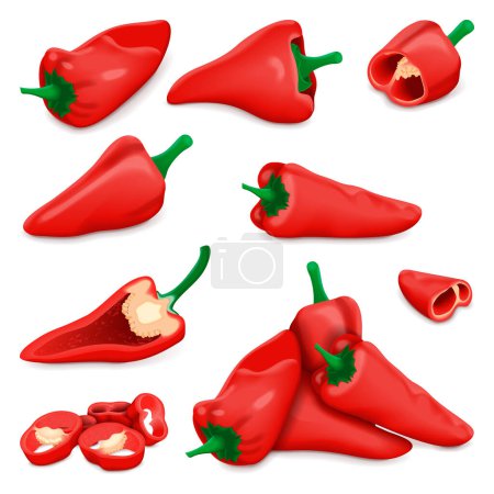 Illustration for Set with whole, half, quarter, slices, and wedges of Spanish Piquillo peppers. Pimiento pepper. Capsicum annuum. Red chili pepper. Vegetables. Vector illustration isolated on white background. - Royalty Free Image