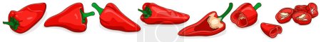 Illustration for Set with whole, half, quarter, and slices of Spanish Piquillo peppers. Pimiento pepper. Capsicum annuum. Red chili pepper. Vegetables. Cartoon style. Vector illustration isolated on white background. - Royalty Free Image