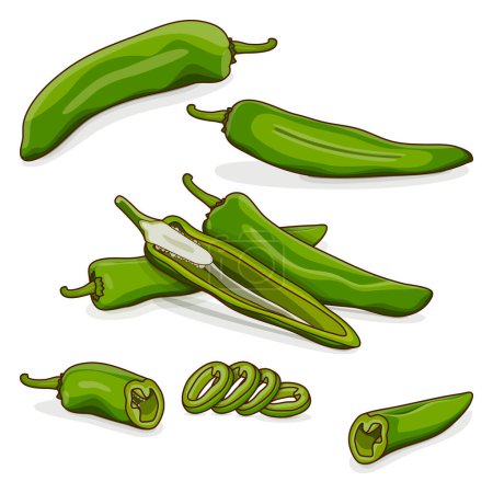 Illustration for Whole, half, quarter, slices, and wedges of Green anaheim peppers. Capsicum annuum. Chili pepper. Fresh organic vegetables. Cartoon style. Vector illustration isolated on white background. - Royalty Free Image
