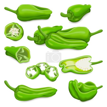 Illustration for Set with whole, half, quarter, slices, and wedges of Green small Padron peppers. Pimientos de padron. Capsicum annuum. Chili pepper. Vegetables. Vector illustration isolated on white background. - Royalty Free Image