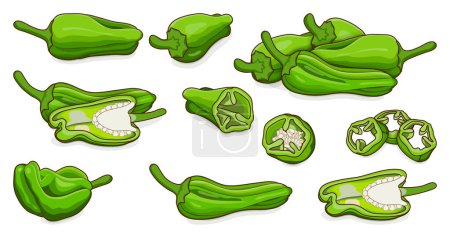 Illustration for Set with whole, half, quarter, slices of Green small Padron peppers. Pimientos de padron. Capsicum annuum. Chili pepper. Vegetables. Cartoon style. Vector illustration isolated on white background. - Royalty Free Image