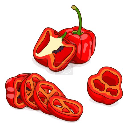 Téléchargez les illustrations : Whole, half, quarter, slices of Rocoto peppers. Locoto peppers. Rocote peppers. Chili pepper. Vegetables. Cartoon style. Vector illustration isolated on white background. - en licence libre de droit