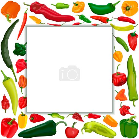Ilustración de Square banner with different types of peppers. Sweet peppers. Mild and medium hot Chili peppers. Super hot peppers. Vegetables. Vector illustration isolated on white background. Template. - Imagen libre de derechos