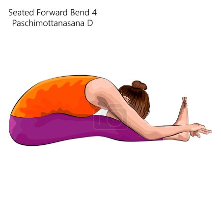 Illustration for Young woman practicing yoga exercise, doing Seated Forward Bend 4 pose or Intense West Stretch. Paschimottanasana D. Seated and Forward Bend. Beginner. Vector illustration isolated on white background - Royalty Free Image