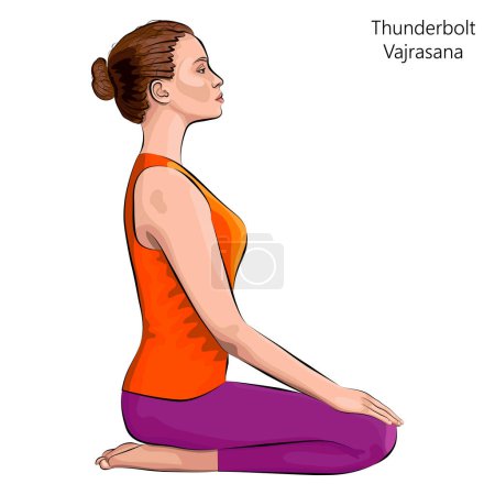 Illustration for Young woman practicing yoga exercise, doing Thunderbolt pose or Diamond pose or Kneeling pose. Vajrasana. Seated and Neutral. Beginner. Vector illustration isolated on white background. - Royalty Free Image