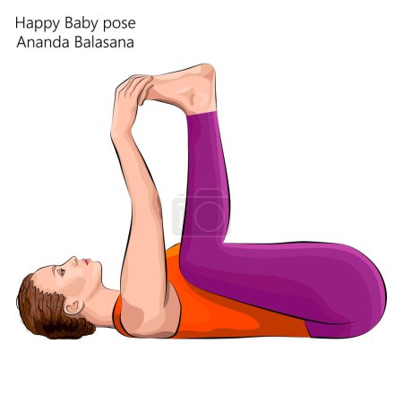 Illustration for Young woman practicing yoga exercise, doing Blissful Baby pose or Happy Baby pose or Dead Bug pose. Ananda Balasana. Supine and Balansing. Beginner. Vector illustration isolated on white background. - Royalty Free Image